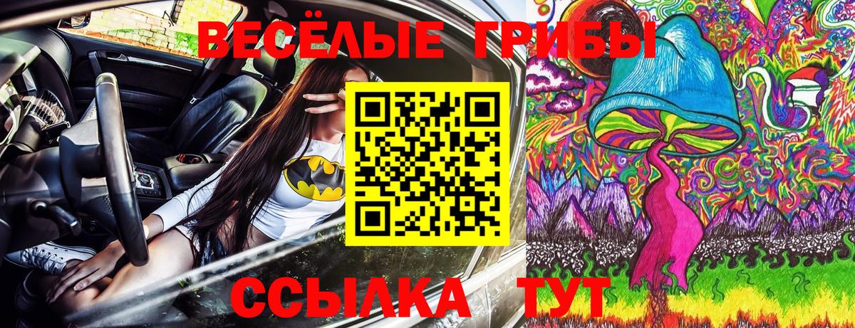 Псилоцибиновые грибы мицелий Кирово-Чепецк