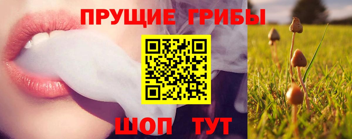 Галлюциногенные грибы мухоморы  Псилоцибиновые грибы MAGIC MUSHROOMS  Кирово-Чепецк  купить  цена  Вход с VPN 